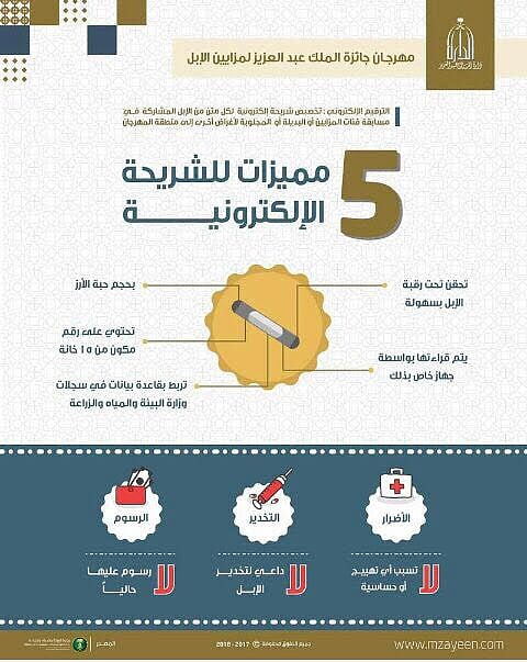 "حبة الأرز".. شاب يبتكر برنامجاً للتأمين على الإبل "شريحة رقمية و١٥ خانة"