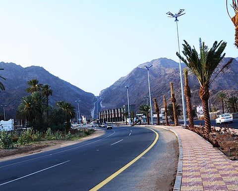 أمانة نجران تنتهي من تحسين وتجميل طريق الملك عبدالله وشارع  الأمير سلطان