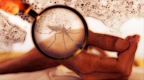 "صحة جازان" تؤكد إصابة 43 حالة بحمى الضنك وتوضح: هذه إجراءاتنا