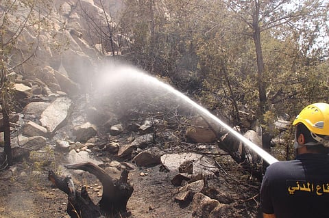 إخماد حريق بأشجار العرعر والحشائش بـ"شفا الطائف"