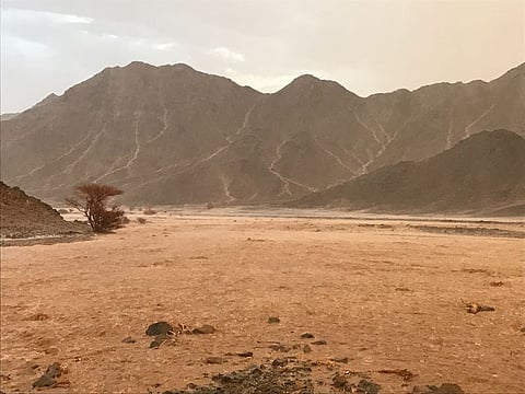 شاهد.. هطول أمطار متوسطة على مراكز محافظة ينبع والعيص