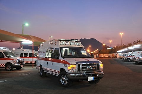 جمل سائب يصرع 3 إخوة على طريق أبو راكة الطائف ويصيب آخرين