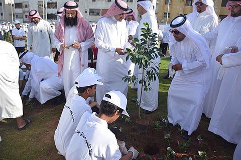 "شجرة لكل طالب" تنطلق.. فكرة عضو بلدي أعجبت أمير مكة فوجّه بتنفيذها