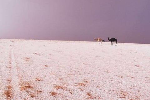 "القريات" تشهد أمطارًا غزيرة ومتوسطة وتساقطًا لحبات البرد