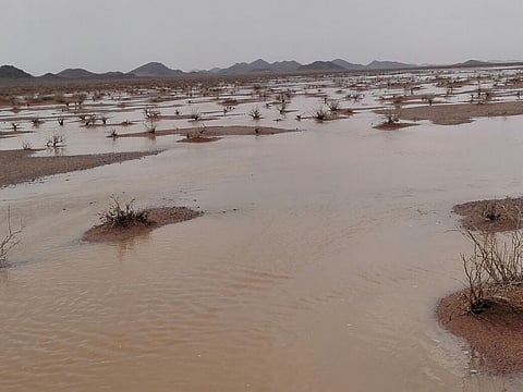 بالفيديو.. أمطار على حائل تملأ الأودية والشعاب.. و "المدني" يحذر المتنزهين