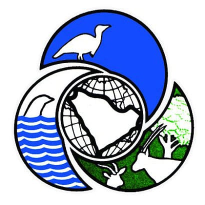 "الحياة الفطرية" تعلن وفاة 4 في تحطم طائرة للمراقبة في محمية الخنفة