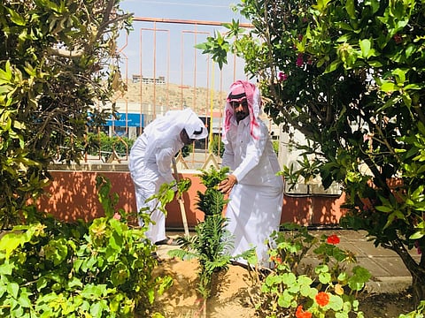 بالصور.. محافظ بلقرن يدشّن مشروع "أنا صديق البيئة"