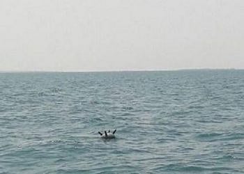 لغم حوثي بالبحر الأحمر يقتل ويجرح 14 صيادًا بـ"التحيتا" غرب اليمن