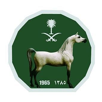 على كأس وزارة الدفاع.. نادي الفروسية يقيم حفل سباقه الـ30