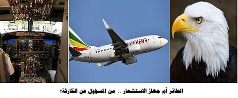 إثيوبيا تتجاهل "نظرية الطائر" الأمريكية وتؤكد: الطيار ومساعده اتبعا الإرشادات