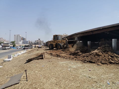 حفاظاً على الصحة العامة .. إخلاء حظائر المواشي بـ "كعكية مكة"