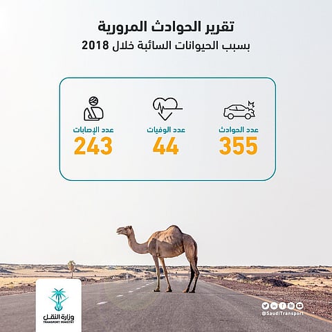 الحيوانات السائبة تقتل وتصيب 287 شخصًا في السعودية في عام  2018