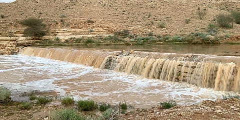 بالفيديو .. أمطارٌ متوسطة إلى غزيرة على "المجمعة" تسيل أودية وتروي الشعاب