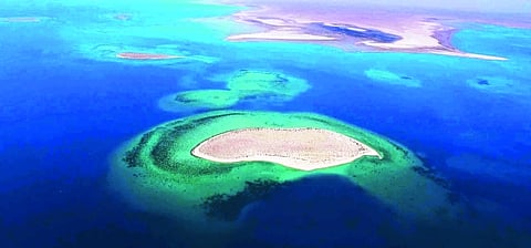 البحرين تقدم عرضاً لتطوير إحدى جزر البحر الأحمر