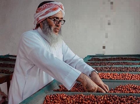 "تطوير وتعمير المناطق الجبلية بجازان" تعلن إحصائية أشجار البن للعام 2020