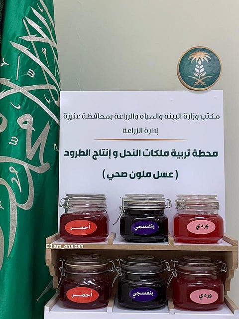 ملكات النحل ينتجن أول عسل صحي ملوّن من عنيزة