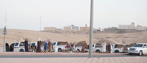 الخرج.. باعة الحطب المحلي في ازدياد و"الزراعة": نعمل وفق الإمكانات المتاحة