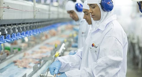 شركة برازيلية تعلق تصدير الدواجن من مصنعين لها إلى السعودية