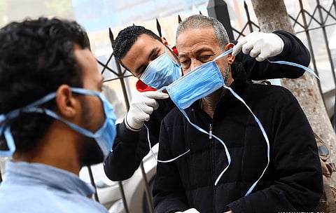 مصر توقف تصدير البقوليات بسبب مخاوف تتعلق بـ"كورونا"