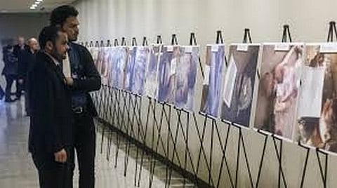 ألمانيا تحتضن أول محاكمة في العالم لنظام "الأسد".. والتهم جرائم ضد الإنسانية