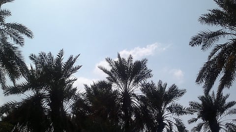 "ذكروا بالقرآن".. الإسرائيلي الذي سماه النبي الأكرم وأُنزل فيه قرآن يُتلى ليوم القيامة
