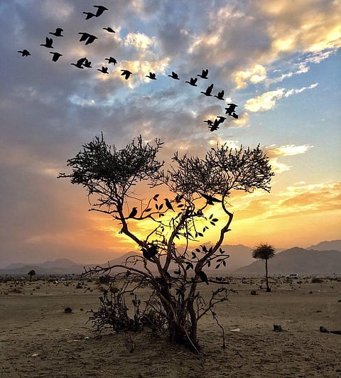قبر "أبورغال" وجيش أبرهة.. تعرف على قصة وادي المغمس بمكة