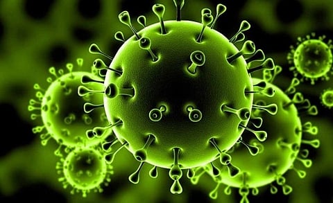 دراسة: شمس الصيف تقتل كورونا بنسبة 90% خلال 30 دقيقة فقط