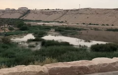 "وادي لبن".. عذوبة مائه سبب تسميته التاريخية ويمد العاصمة بالخوخ والرمان والحطب