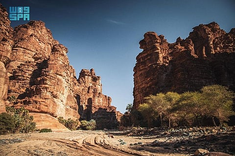 تبوك تعرفك وتبهرك.. استكشف قصتك وانتظر مكافأتك "صور"