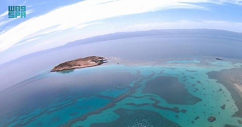 في "حقل تبوك".. هنا ستفاجئك تجارب سياحية وأجواء استثنائية