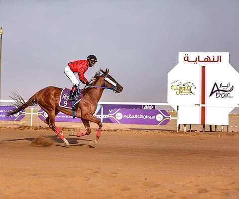 سباق حائل الثاني للفروسية ينطلق غداً