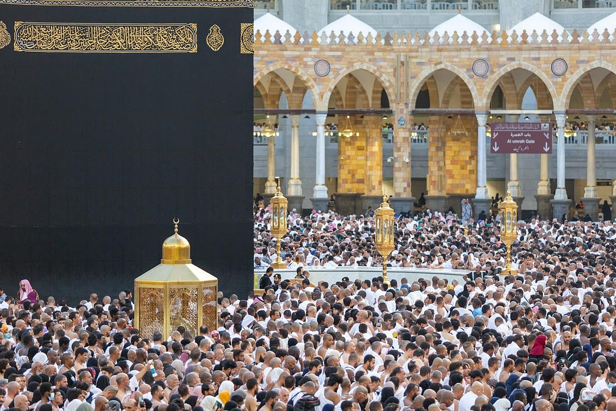 ��������� ����� ����� �������� "������ sabq/2024-04/f2a