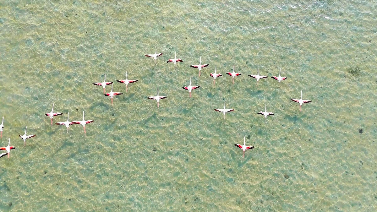 ����� ��������� ���� ����.. ���� sabq/2024-05/569