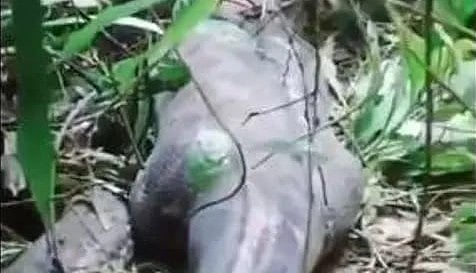 ���� ���� ���� �����.. ���� sabq/2024-06/0e5