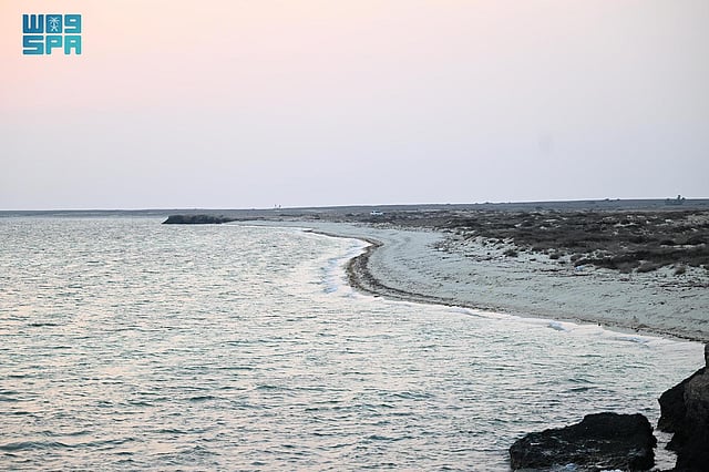 ����� ������ ������ ���� ����� sabq/2024-07/099