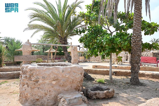 ����� ������ ������ ���� ����� sabq/2024-07/126