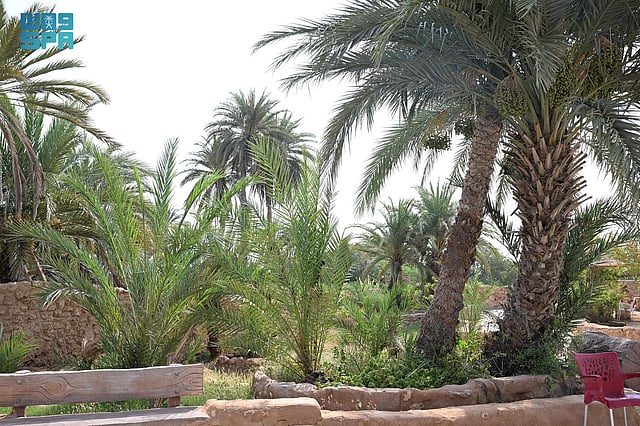 ����� ������ ������ ���� ����� sabq/2024-07/4b7