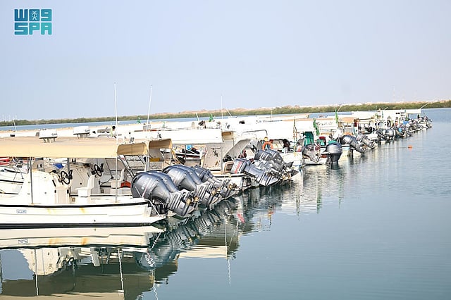 ����� ������ ������ ���� ����� sabq/2024-07/62d