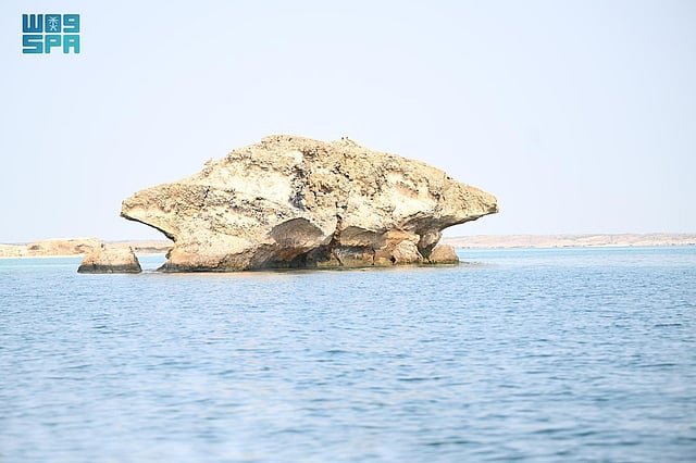 ����� ������ ������ ���� ����� sabq/2024-07/931