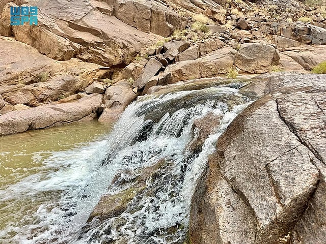 ����� ������ "���� �������" ������ sabq/2024-09-01/