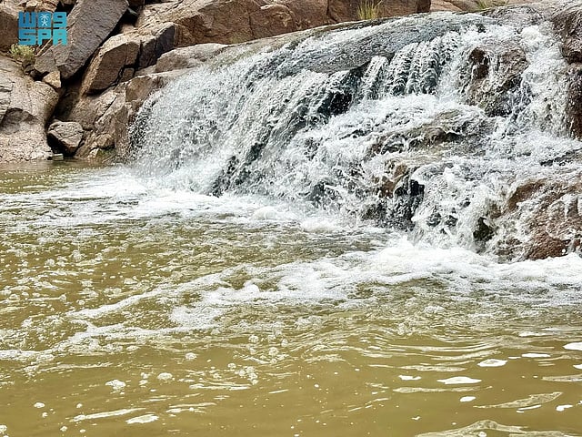 ����� ������ "���� �������" ������ sabq/2024-09-01/