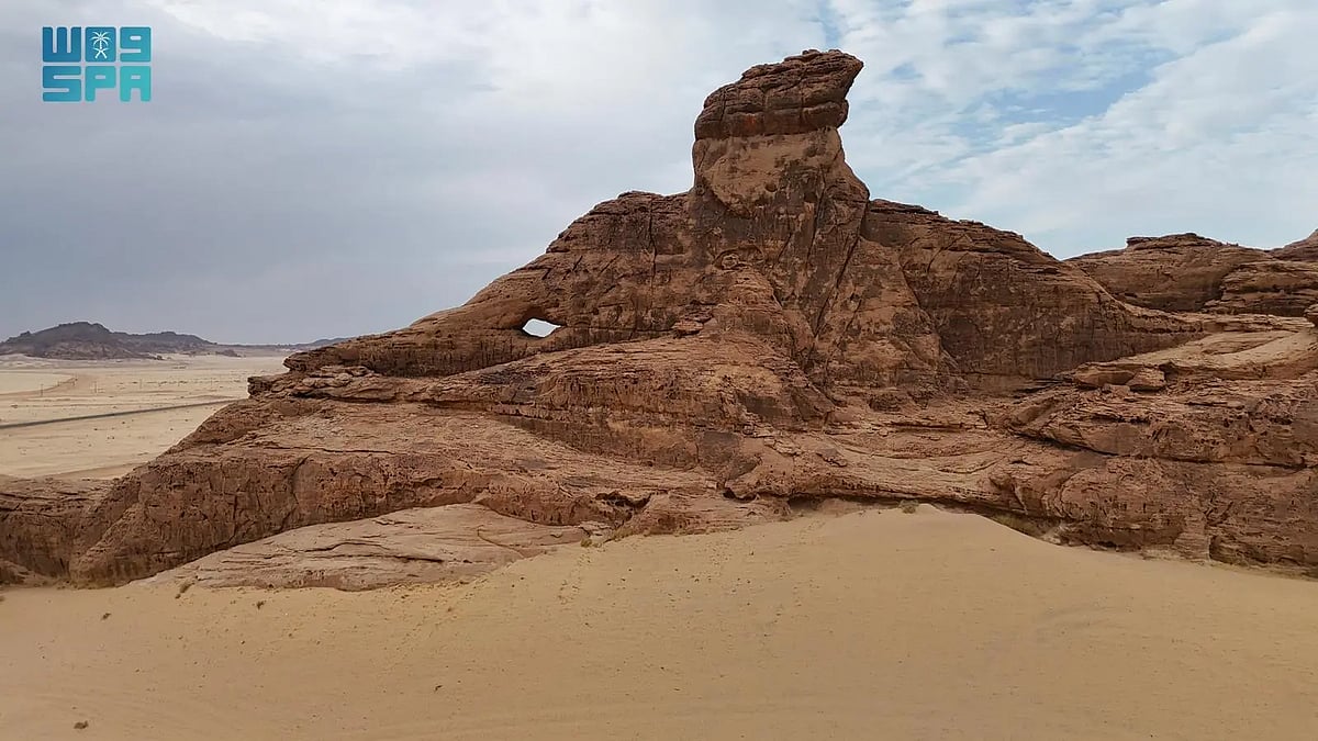 ���� "��� ����".. ������� ���� sabq/2024-09-03/