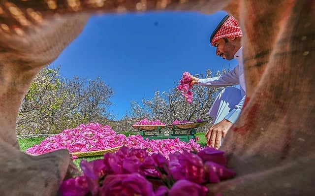 ����� ������ ����� "����� ������" sabq/2024-10-01/