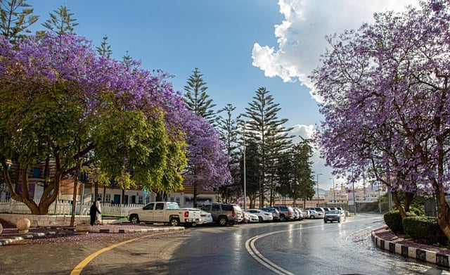 ����� �������� 2024 ������ ������� sabq/2024-10-02/