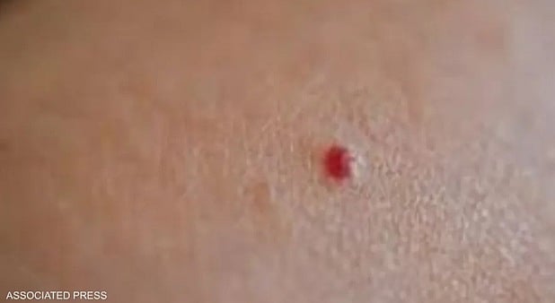 ����� ����� ���� �������� ������� sabq/2024-10-06/