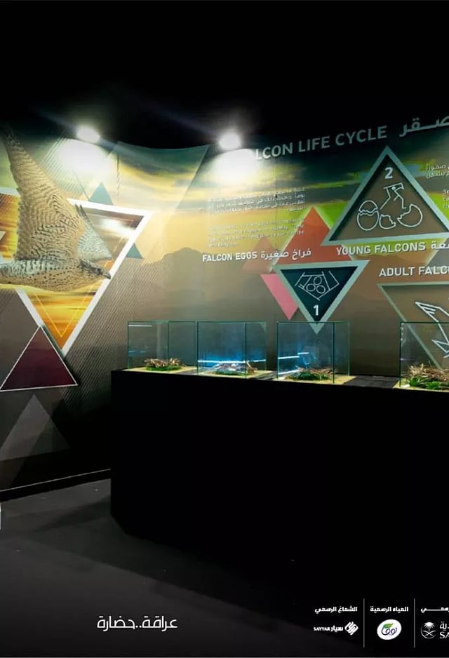 ���� ���� ���� ����� ���� sabq/2024-10-06/