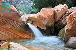 "������ ������" ������.. ����� ����� sabq/2024-12-11/