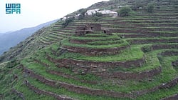 "������ ������" ������.. ����� ����� sabq/2024-12-11/