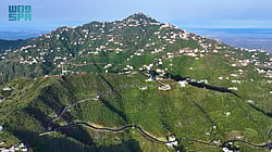 "������ ������" ������.. ����� ����� sabq/2024-12-11/