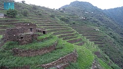 "������ ������" ������.. ����� ����� sabq/2024-12-11/